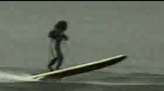 Water-Skiing Monkeys