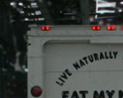 The Alternative To Junk Food?