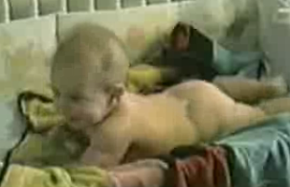 The Little Baby That Could