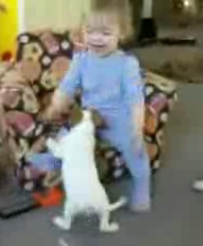 Cute Alert: Baby Training Puppies
