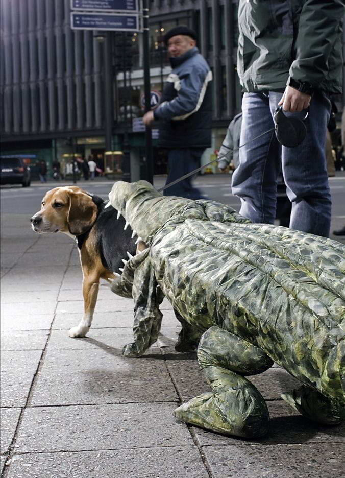dog-costume-002-1 dog-costume-002-1