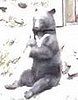 Sideshow Bear
