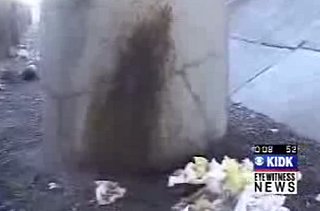 Breaking News: The Phantom Pooper