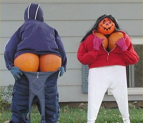pumpkins01 pumpkins01
