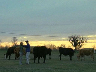 "Friday Night Lights" Recap: Episode 20, "Mud Bowl"
