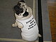 mommie's picture