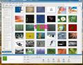 Oh Happy Day - Picasa's Storage Increases To 1GB