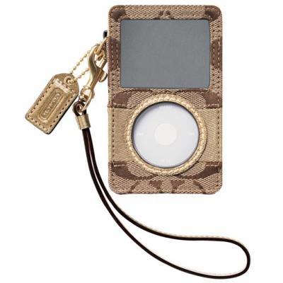 Do You Like Designer Gadget Accessories?