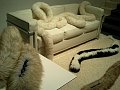 Tech News Roundup - Panasonic Makes Furry Heaters