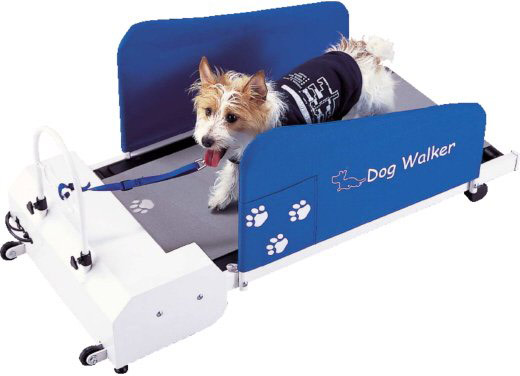 treadmill treadmill