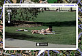 Have You Google 'Street Viewed' Your House Yet?