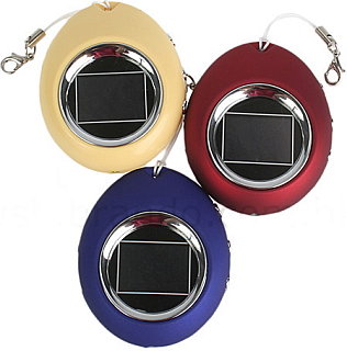 The Oval Digital Photo Keychain