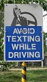 Do You Text Message While Driving? 