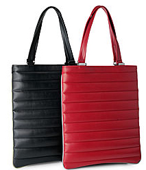 Long And Lean Saturn Laptop Bags