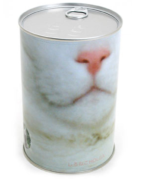 cat-camera2 cat-camera2