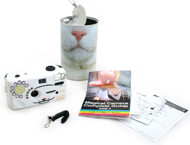 cat-camera4 cat-camera4