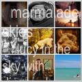 Geek Tip: Browse Flickr Photos With Style