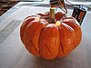 How to Make Your Own LED Snap-O-Lantern