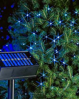 Solar-Powered String Lights: Love or Leave?