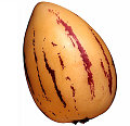 Pepino