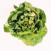 Keep Your Lettuce Longer