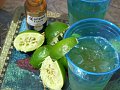 Yummy Link: Michelada