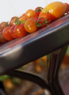 All The News That Fit To Eat - August 8