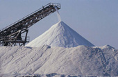 45 Things To Do With Salt 45 Things To Do With Salt