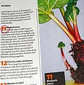 Yummy Link: Simple 10 Minute Meals 