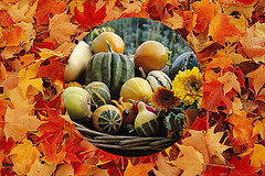 Sunday Dinner: Stuffed Squash