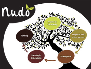 Nudo Is Neato! Adopt an Olive Tree of Your Own!