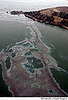 Yucky Link: Sad Times for Bay Area Fishermen