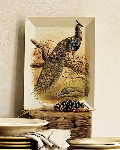 Peacock Melamine Tray: Love It or Hate It?