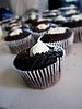 Yummy Link: Cupcakes 101