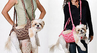 Spoiled Sweet or Spoiled Rotten?