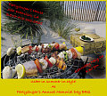 Come Party With Me: Memorial Day BBQ - Invites