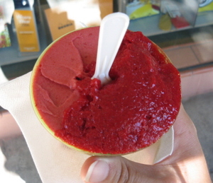 Dessert For The Lactose Intolerant: Plum Sorbet