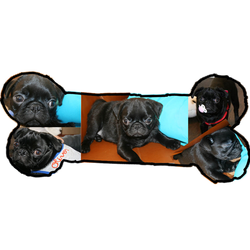 Come Paw-ty With Me: Dog Birthday - Invites Come Paw-ty With Me: Dog Birthday - Invites