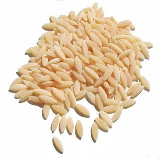 Orzo