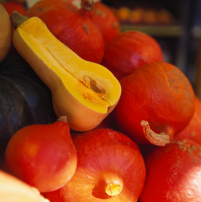 Know Your Winter Squash