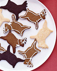Jazz up Shortbread Cookies With Chocolate