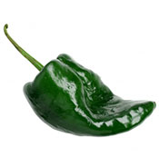 Poblano