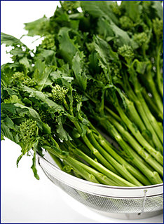 Rapini