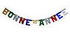 How Did You Celebrate New Year's Eve?