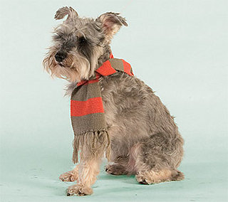 Trend Setters: Scarf It Down