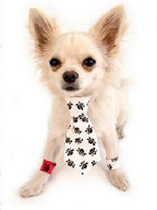 All Over Skulls Neck Tie