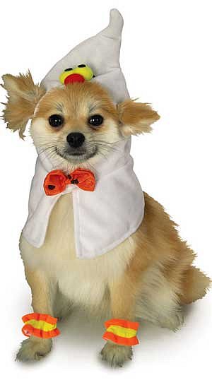 Ghost Fun Dog Costume 