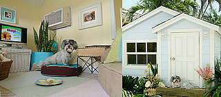 Doggie Mansions: Spoiled Sweet or Spoiled Rotten? 