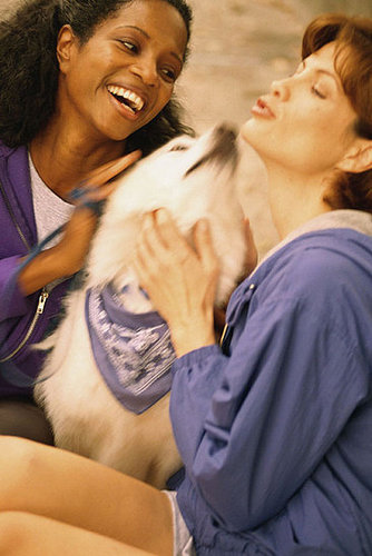 To the Rescue: How to Pet a Dog 