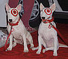 Guess Which Dog Is Real?